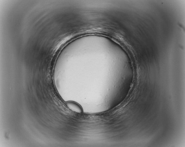 X0000101411308200807070956