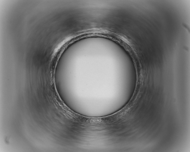 X0000101411310200807070957