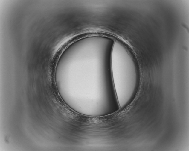 X0000101411311200807070957