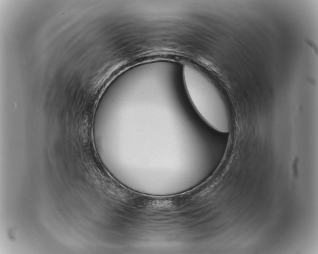 X0000101411313200807070957