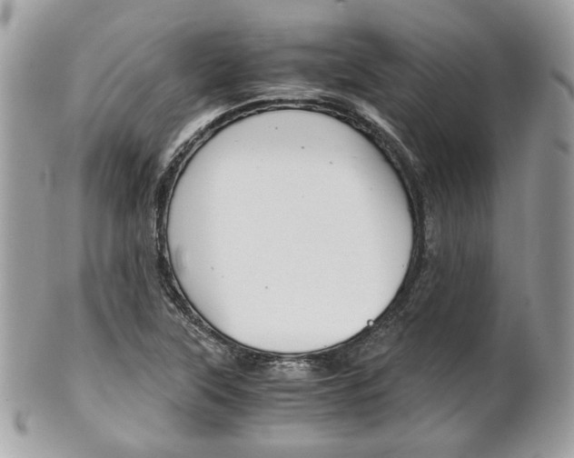 X0000101411315200807070957