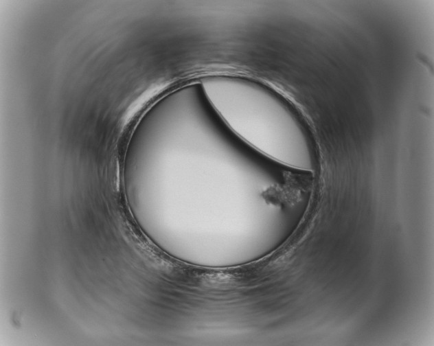 X0000101411317200807070957