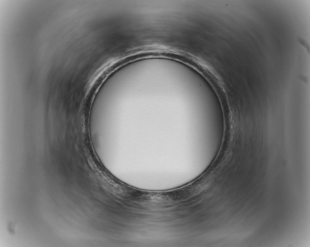 X0000101411318200807070957