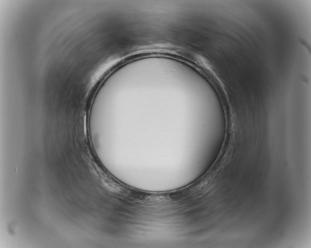 X0000101411320200807070957