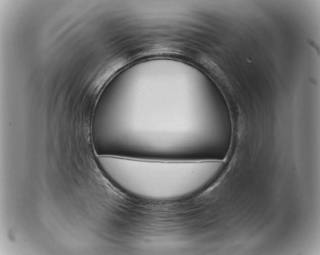 X0000101411321200807070957