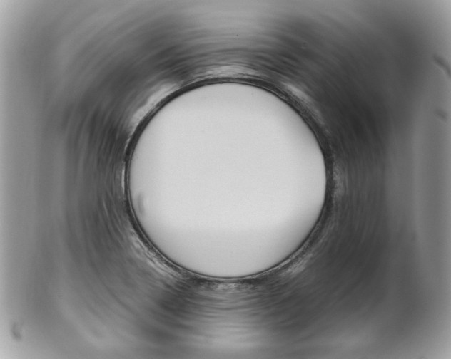 X0000101411322200807070957