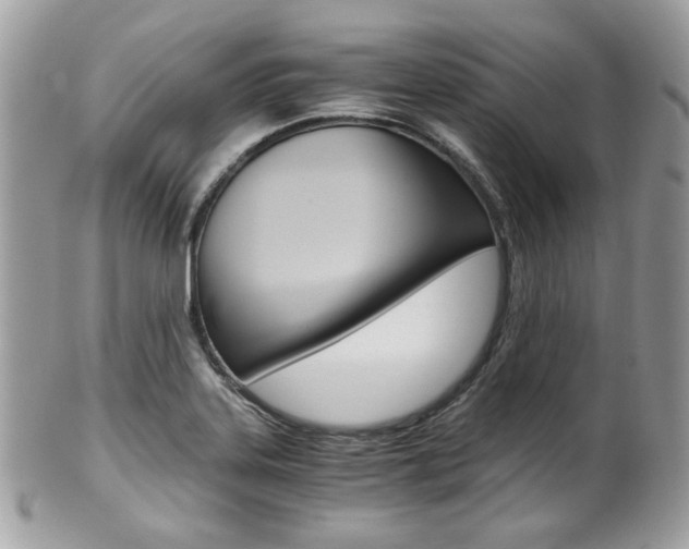 X0000101411323200807070957