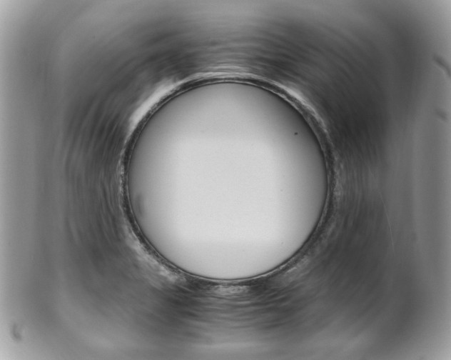 X0000101411325200807070957