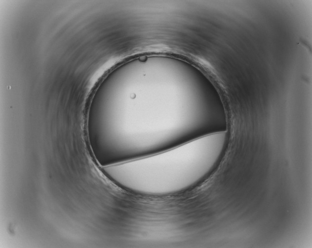 X0000101411326200807070957