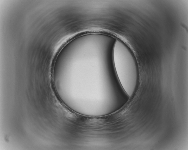 X0000101411327200807070957