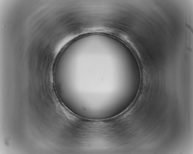 X0000101411328200807070957