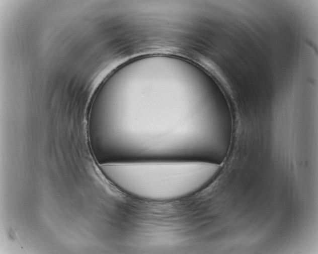 X0000101411332200807070957