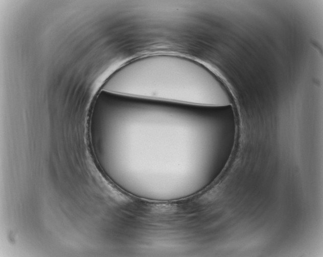 X0000101411333200807070957