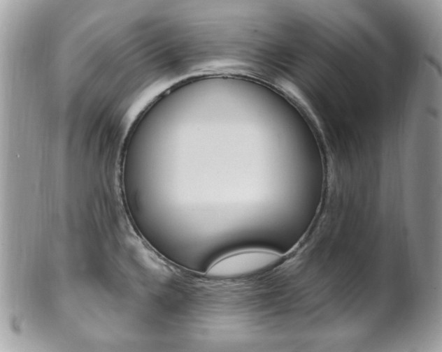 X0000101411336200807070957