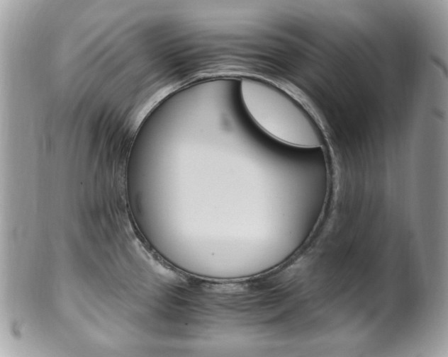 X0000101411337200807070957