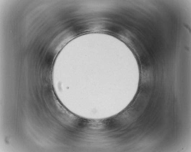 X0000101411338200807070957