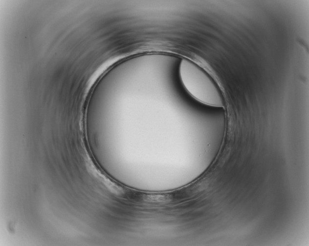 X0000101411339200807070957