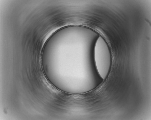 X0000101411340200807070957