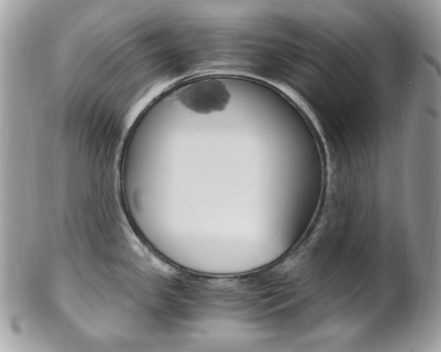 X0000101411341200807070957