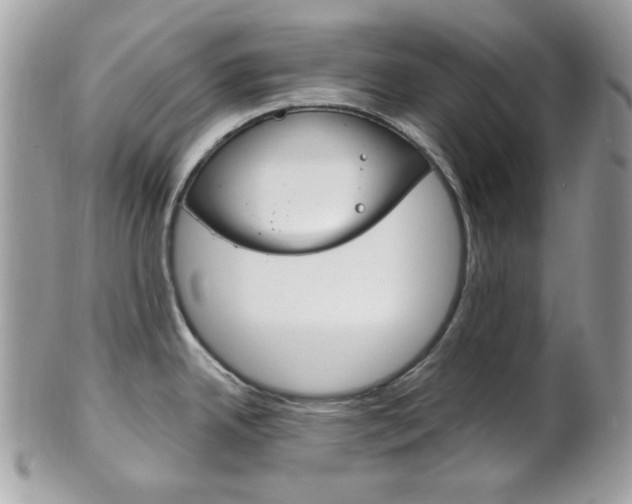 X0000101411342200807070957