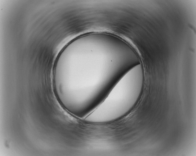 X0000101411343200807070957