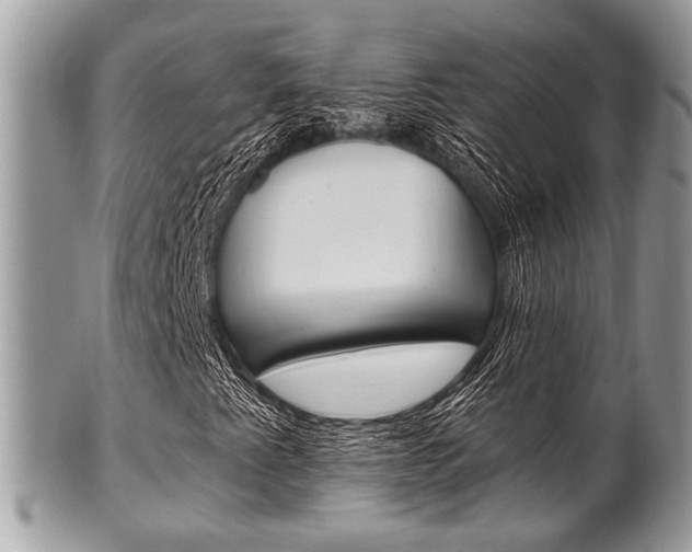 X0000101411345200807070956