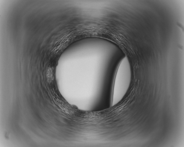 X0000101411347200807070956