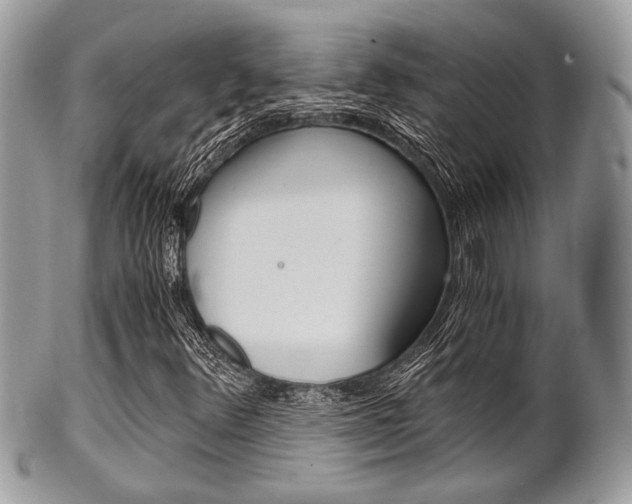 X0000101411348200807070956