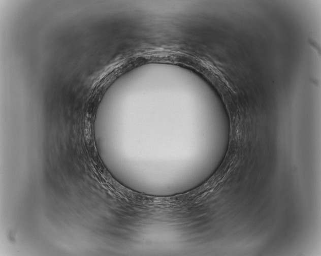 X0000101411350200807070956