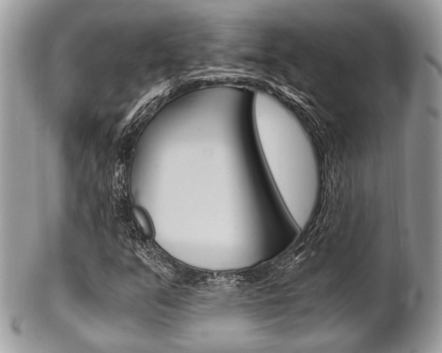 X0000101411351200807070956