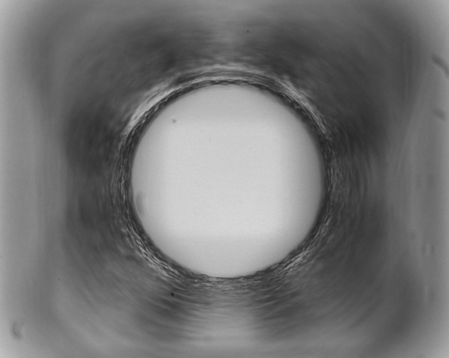 X0000101411352200807070956