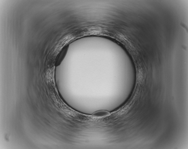 X0000101411353200807070956