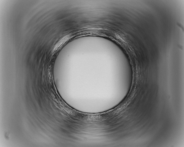 X0000101411354200807070956