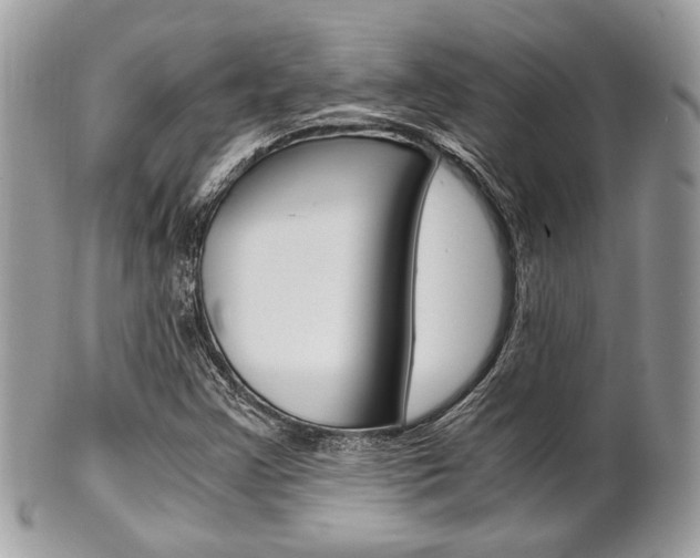 X0000101411355200807070956