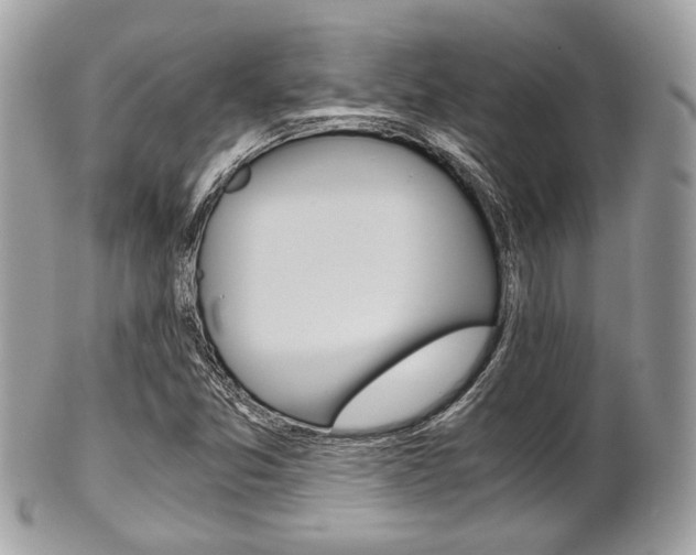 X0000101411357200807070956