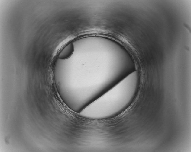 X0000101411358200807070956
