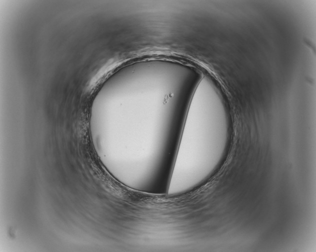 X0000101411359200807070956