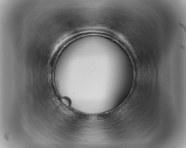 X0000101411360200807070956