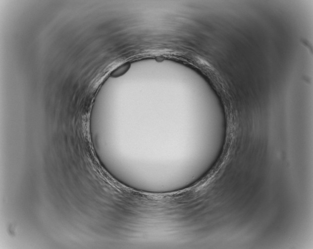X0000101411361200807070956