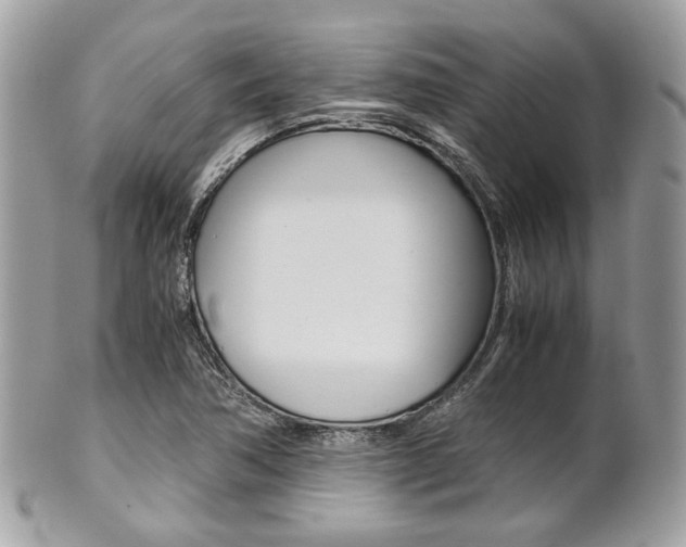 X0000101411362200807070956