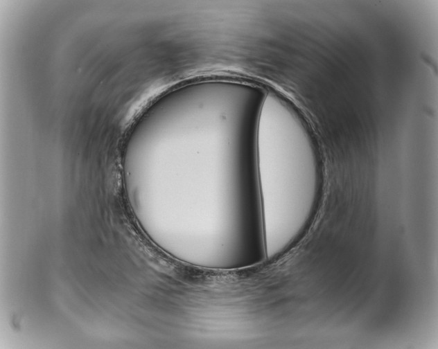 X0000101411363200807070956