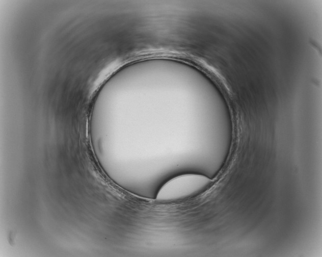 X0000101411365200807070956