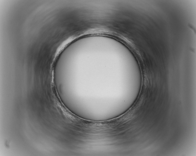 X0000101411366200807070956
