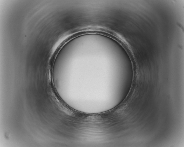 X0000101411368200807070956