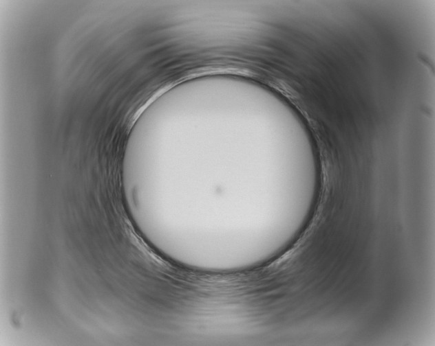 X0000101411369200807070956
