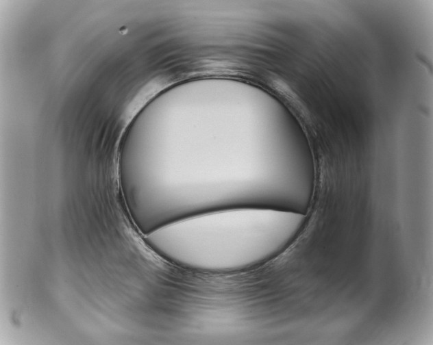 X0000101411370200807070956