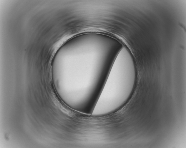 X0000101411371200807070956
