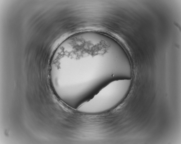X0000101411373200807070956
