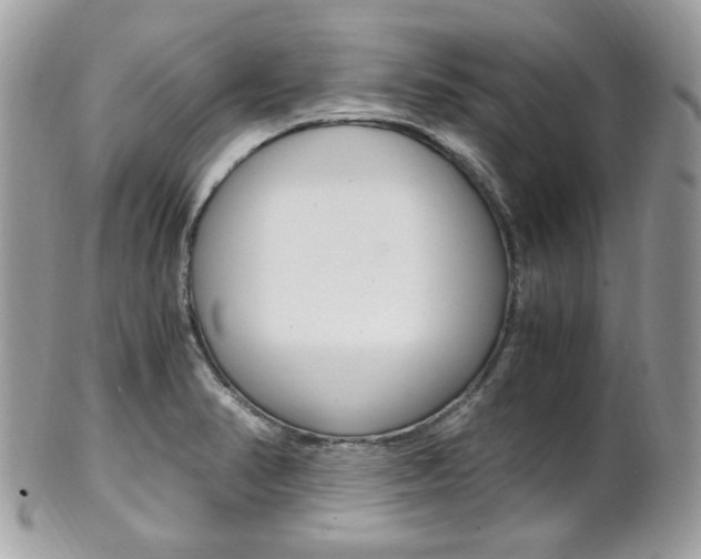 X0000101411374200807070956