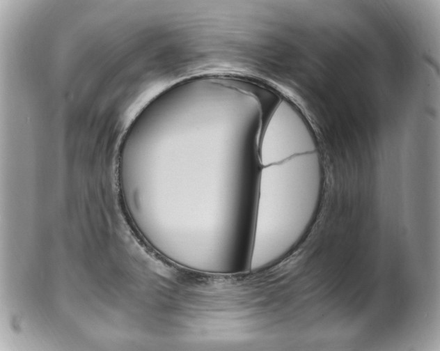 X0000101411375200807070956